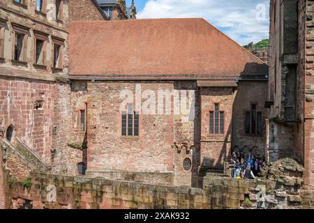 Europe, Allemagne, Bade-Württemberg, Heidelberg, le groupe touristique visite le bâtiment Ottheinrich dans le château de Heidelberg Banque D'Images