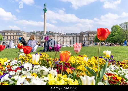 Europe, Allemagne, Bade-Württemberg, Stuttgart, Schlossplatz, admirez les fleurs colorées de la prairie devant le Nouveau Palais sur la Schlossplatz de Stuttgart Banque D'Images