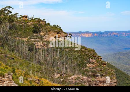 Colline détruite par un feu de brousse dans la Jamison Valley dans Scenic World, une attraction touristique célèbre du parc national des Blue Mountains, en Nouvelle-Galles du Sud Banque D'Images