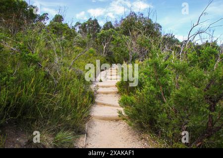 Prince Henry Cliff marchez de Katoomba à la formation rocheuse Three Sisters dans le parc national des Blue Mountains, Nouvelle-Galles du Sud, Australie Banque D'Images