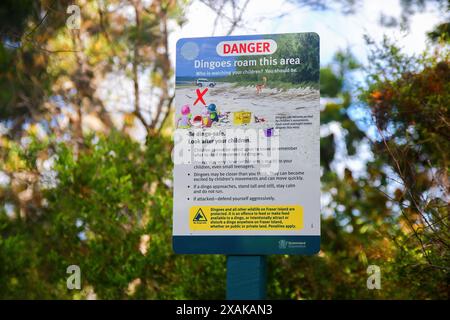 Panneau d'avertissement interdisant la nourriture au lac McKenzie (Boorangoora) en raison des dingos errant autour de l'île Fraser (K'gari) dans le Queensland, en Australie Banque D'Images