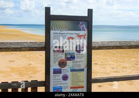 Panneau d'information avertissant les touristes de la présence de dingos sauvages sur la plage de Kingfisher Bay, sur la côte ouest de K'gari (île Fraser) à Queen Banque D'Images