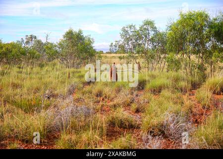 Termites termitières faites de terre, de salive et de fumier dans le Bush du Red Center of Australia dans le territoire du Nord - nids de termit de construction de monticule Banque D'Images