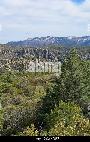 L'érosion de la colline des hoodoos dans le monument national de Chiricahua Banque D'Images