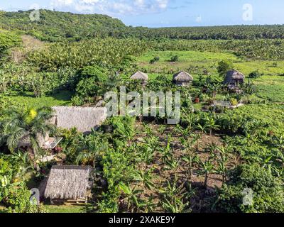 Amérique du Nord, Caraïbes, Grande Antilles, Île d'Hispaniola, République dominicaine, péninsule de Samana, El Limon, vue aérienne de Samana Eco Lodge Banque D'Images