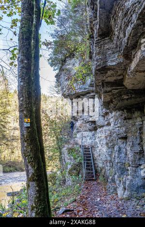 Europe, Allemagne, Bade-Württemberg, Forêt Noire, Parc naturel du sud de la Forêt Noire, Schluchtensteig, marches sur une paroi rocheuse escarpée dans la gorge de Wutach Banque D'Images