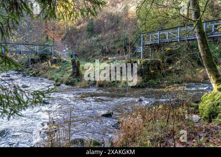 Europe, Allemagne, Bade-Württemberg, Forêt Noire, Parc naturel du Sud de la Forêt Noire, Schluchtensteig, randonneuses féminines au confluent des rivières Gutach et Haslach pour former la Wutach Banque D'Images