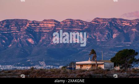 Chaîne de montagnes de Montsià au lever du soleil vue de près de Barra del Trabucador, dans le delta de l'Èbre (Tarragone, Catalogne, Espagne) Banque D'Images