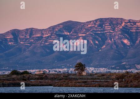 Chaîne de montagnes de Montsià au lever du soleil vue de près de Barra del Trabucador, dans le delta de l'Èbre (Tarragone, Catalogne, Espagne) Banque D'Images