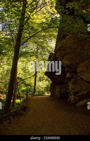 Grotte orageuse sur le sentier de randonnée Löbbeckestieg dans les montagnes du Harz, sentier de crête le long du mur du Diable, menant du rocher du grand-père près de Blankenburg aux armoiries de Hambourg près de Timmenrode, Saxe-Anhalt, Allemagne Banque D'Images