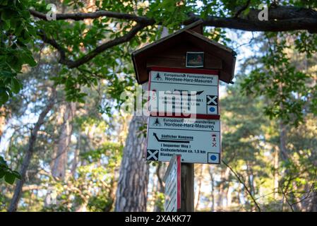 Panneau sur le sentier de randonnée Löbbeckestieg dans les montagnes du Harz, sentier de crête le long du Teufelsmauer, menant de la Großvaterfelsen près de Blankenburg au Hamburger Wappen près de Timmenrode, Saxe-Anhalt, Allemagne Banque D'Images