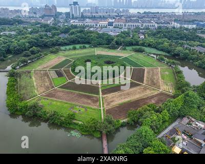 Hangzhou, Chine. 07 juin 2024. Une photo aérienne montre des champs de huit trigrammes en forme de huit trigrammes sur la montagne Yuhuangshan à Hangzhou, en Chine, le 6 juin 2024. Huit cultures différentes poussent sur des champs de huit trigrammes. Huit cultures montrent huit couleurs différentes tout au long de l'année. Dans le champ de huit trigrammes, il y a un monticule rond, qui est un diagramme demi-yin et demi-yang du Taiji. (Photo de Costfoto/NurPhoto) crédit : NurPhoto SRL/Alamy Live News Banque D'Images