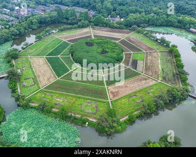 Hangzhou, Chine. 07 juin 2024. Une photo aérienne montre des champs de huit trigrammes en forme de huit trigrammes sur la montagne Yuhuangshan à Hangzhou, en Chine, le 6 juin 2024. Huit cultures différentes poussent sur des champs de huit trigrammes. Huit cultures montrent huit couleurs différentes tout au long de l'année. Dans le champ de huit trigrammes, il y a un monticule rond, qui est un diagramme demi-yin et demi-yang du Taiji. (Photo de Costfoto/NurPhoto) crédit : NurPhoto SRL/Alamy Live News Banque D'Images