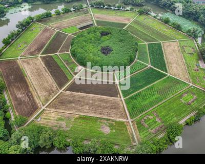 Hangzhou, Chine. 07 juin 2024. Une photo aérienne montre des champs de huit trigrammes en forme de huit trigrammes sur la montagne Yuhuangshan à Hangzhou, en Chine, le 6 juin 2024. Huit cultures différentes poussent sur des champs de huit trigrammes. Huit cultures montrent huit couleurs différentes tout au long de l'année. Dans le champ de huit trigrammes, il y a un monticule rond, qui est un diagramme demi-yin et demi-yang du Taiji. (Photo de Costfoto/NurPhoto) crédit : NurPhoto SRL/Alamy Live News Banque D'Images