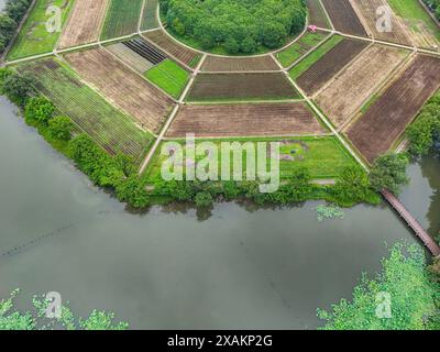 Hangzhou, Chine. 07 juin 2024. Une photo aérienne montre des champs de huit trigrammes en forme de huit trigrammes sur la montagne Yuhuangshan à Hangzhou, en Chine, le 6 juin 2024. Huit cultures différentes poussent sur des champs de huit trigrammes. Huit cultures montrent huit couleurs différentes tout au long de l'année. Dans le champ de huit trigrammes, il y a un monticule rond, qui est un diagramme demi-yin et demi-yang du Taiji. (Photo de Costfoto/NurPhoto) crédit : NurPhoto SRL/Alamy Live News Banque D'Images