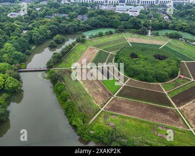 Hangzhou, Chine. 07 juin 2024. Une photo aérienne montre des champs de huit trigrammes en forme de huit trigrammes sur la montagne Yuhuangshan à Hangzhou, en Chine, le 6 juin 2024. Huit cultures différentes poussent sur des champs de huit trigrammes. Huit cultures montrent huit couleurs différentes tout au long de l'année. Dans le champ de huit trigrammes, il y a un monticule rond, qui est un diagramme demi-yin et demi-yang du Taiji. (Photo de Costfoto/NurPhoto) crédit : NurPhoto SRL/Alamy Live News Banque D'Images