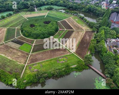 Hangzhou, Chine. 07 juin 2024. Une photo aérienne montre des champs de huit trigrammes en forme de huit trigrammes sur la montagne Yuhuangshan à Hangzhou, en Chine, le 6 juin 2024. Huit cultures différentes poussent sur des champs de huit trigrammes. Huit cultures montrent huit couleurs différentes tout au long de l'année. Dans le champ de huit trigrammes, il y a un monticule rond, qui est un diagramme demi-yin et demi-yang du Taiji. (Photo de Costfoto/NurPhoto) crédit : NurPhoto SRL/Alamy Live News Banque D'Images