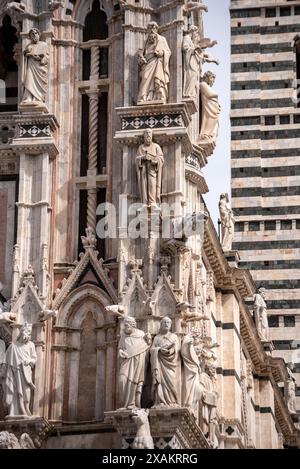 Décoration de façade de la cathédrale de Sienne, Italie Banque D'Images