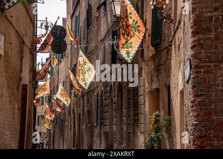 Drapeau contrade du quartier de Selva-Rhino accroché dans une rue du centre-ville de Sienne, Italie Banque D'Images