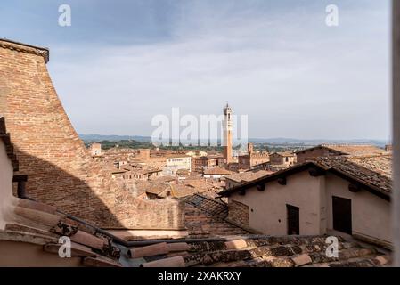 Vue sur les toits de Sienne vers la Torre Magna, vue depuis le toit de la cathédrale de Sienne, Italie Banque D'Images