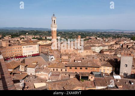 Vue sur les toits de Sienne vers la Torre Magna, vue depuis le toit de la cathédrale de Sienne, Italie Banque D'Images