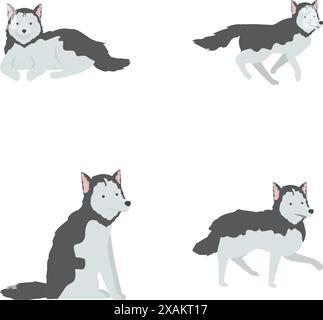 Collection d'illustrations mettant en vedette un joli dessin animé Husky dans quatre poses différentes, isolé sur blanc Illustration de Vecteur