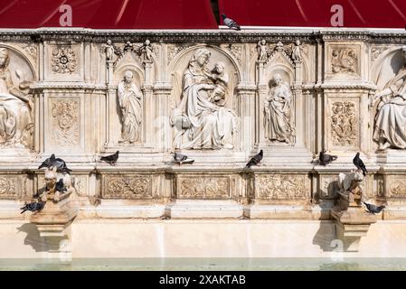 Colombes assises sur la fontaine Gaia sur la Piazza del Campo à Sienne, Italie Banque D'Images