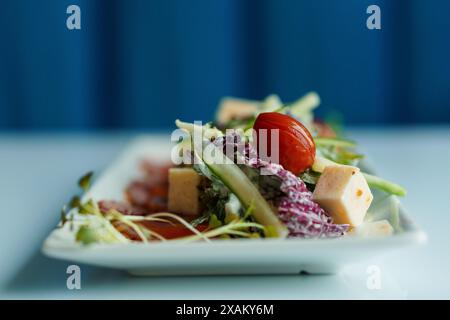 Salade aux herbes, fromage à pâte dure, olives, tomates cerises, oignons, concombres et laitue Banque D'Images