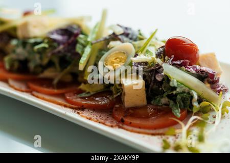 Salade aux herbes, fromage à pâte dure, olives, tomates cerises, oignons, concombres et laitue Banque D'Images