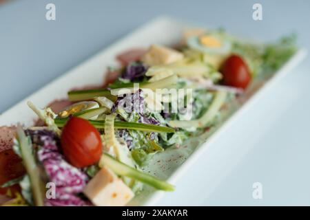 Salade aux herbes, fromage à pâte dure, olives, tomates cerises, oignons, concombres et laitue Banque D'Images