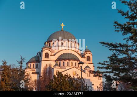 L'église de Saint-Sava, Hram Svetog Save, est une église orthodoxe serbe qui se trouve sur le plateau de Vracar à Belgrade, en Serbie. Banque D'Images