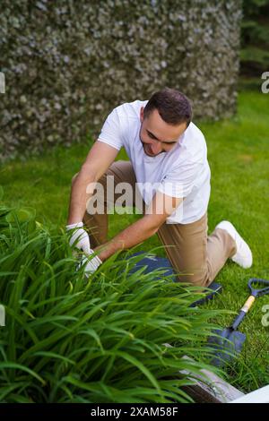 travail saisonnier dans le jardin. Jardinier dans les gants de travail coupe les branches sèches de thuja avec des cisailles. Élaguer les buissons. Couper des branches au printemps ou en automne. han Banque D'Images