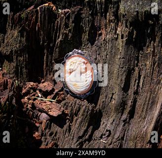 Une nature morte d'un seul camée sur un fond de bois. Banque D'Images