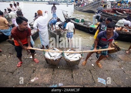 7 juin 2024, Cox's Bazar, Chittagong, Bangladesh : les pêcheurs déchargent différents types de poissons de bateaux à Fishery Ghat, Cox's Bazar, Bangladesh. Les bateaux vont à la mer tous les minuit pour attraper du poisson. Le matin, le ghat est en vie d'activité, rempli de la nouvelle récolte du jour prête à être distribuée. Fishery Ghat, le plus grand marché aux poissons du bazar de cox, est l'un des principaux hubs ''Hilsa'' du pays. Pour les pêcheurs, les vendeurs et les moyens de subsistance liés au poisson, Fishery Ghat est un centre de bonheur et d’espoir. Lorsque cet endroit affiche des réserves abondantes, le bonheur rayonne des visages du peop Banque D'Images