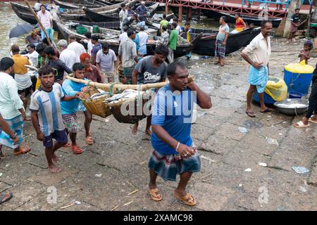 7 juin 2024, Cox's Bazar, Chittagong, Bangladesh : les pêcheurs déchargent différents types de poissons de bateaux à Fishery Ghat, Cox's Bazar, Bangladesh. Les bateaux vont à la mer tous les minuit pour attraper du poisson. Le matin, le ghat est en vie d'activité, rempli de la nouvelle récolte du jour prête à être distribuée. Fishery Ghat, le plus grand marché aux poissons du bazar de cox, est l'un des principaux hubs ''Hilsa'' du pays. Pour les pêcheurs, les vendeurs et les moyens de subsistance liés au poisson, Fishery Ghat est un centre de bonheur et d’espoir. Lorsque cet endroit affiche des réserves abondantes, le bonheur rayonne des visages du peop Banque D'Images