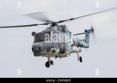 Jagel, Allemagne. 07 juin 2024. Super Lynx Mk88A de Marinefliegergeschwader 5 '5 Naval Air Wing' Deutsche Marine 'German Navy', lors de la rencontre des tigres de l'OTAN à Schleswig AB, Jagel, Allemagne, le 7 juin 2024 (photo de Cody Froggatt/News images) à Jagel, Allemagne, le 6/7/2024. (Photo de Cody Froggatt/News images/Sipa USA) crédit : Sipa USA/Alamy Live News Banque D'Images