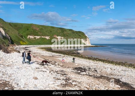 Vue de la plage à South Landing, Flamborough avec des galets blancs ou des rochers, East Riding of Yorkshire, Angleterre, Royaume-Uni Banque D'Images