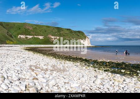 Vue de la plage à South Landing, Flamborough avec des galets blancs ou des rochers, East Riding of Yorkshire, Angleterre, Royaume-Uni Banque D'Images