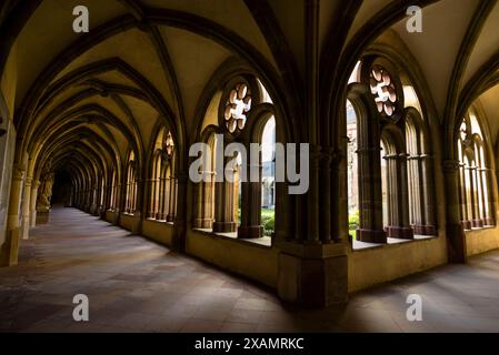 Les cloîtres gothiques de la cathédrale Saint-Pierre sont reliés à la Liebfrauenkirche ou église notre-Dame de Trèves, en Allemagne. Banque D'Images