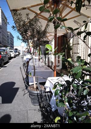 Cuisine fine au bord de la route en Europe. Dîner en plein air au printemps à Rome, Italie. Banque D'Images