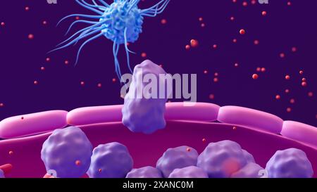 Illustration montrant un globule blanc (violet) laissant un vaisseau sanguin (rose, fond) au site d'une infection. Certains types de globules blancs, y compris les cellules dendritiques (bleu), peuvent libérer de petites protéines de signal appelées collectivement cytokines (points rouges). En se déplaçant vers des concentrations élevées de cytokines (chimiotactisme), plus de globules blancs peuvent voyager vers le site d'une infection. Banque D'Images