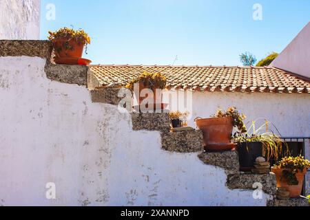 Pots de fleurs sur les escaliers extérieurs sur fond de toit. Décoration traditionnelle de village en Europe. Pots de fleurs sur les marches à l'arrière-cour. Banque D'Images