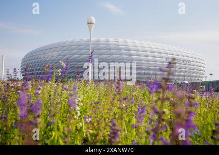 Munich, Allemagne. 07 juin 2024. Le Munich Football Arena le 07.06.2024 en prévision d'une conférence de presse pour présenter le concept de sécurité pour le Championnat d'Europe de football dans le Munich Football Arena à Munich (Bavière). Le championnat d'Europe de football débute dans le stade de football le 14 juin avec le match d'ouverture. Crédit : Matthias Balk/dpa/Alamy Live News Banque D'Images