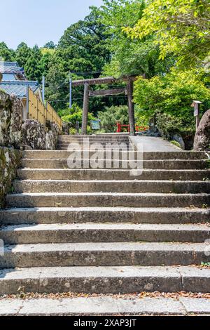 Pente d'escalier pavée Daimon-zaka . Courte promenade sur la route de pèlerinage de Kumano Kodo. Banque D'Images