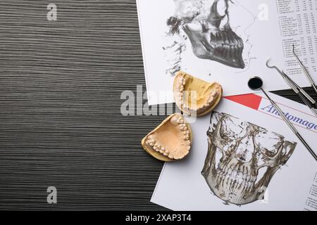 Modèle dentaire avec gencives, outils de dentiste, diagrammes anatomiques et espace pour le texte sur la table en bois gris, pose à plat. Fonte de dents Banque D'Images