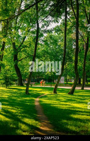 Marcher dans le parc de la ville avec la belle herbe et les feuilles vertes vibrantes. Banque D'Images
