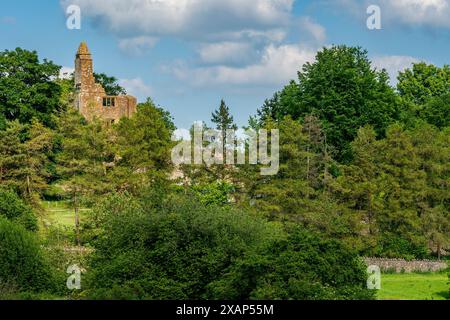 Sherborne Old Castle, vestiges de l'ancien château vu du parc Banque D'Images