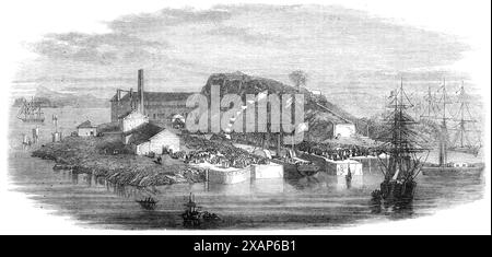 Nouvelle cale sèche à Rio de Janeiro, 1868. L'ouverture du quai commercial à Mocangu&#xe9;, l'une des îles du port de Rio de Janeiro, '...a été honoré par la présence de l'empereur et de l'impératrice du Brésil...cette cale sèche est la seule sur toute la côte sud de l'Atlantique disponible pour la marine marchande et étrangère...c'est l'œuvre d'une firme anglaise, messieurs Hett, Wilson, et Co., les propriétaires de Mocangu&#xe9;, qui est une station de charbon pour les bateaux à vapeur locaux et transatlantiques. Le quai est excavé hors de la roche de granit solide... le moteur est d'une puissance de 30 chevaux et conduit l'un d'App Banque D'Images