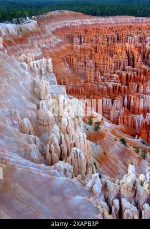 Bryce canyon paysage rocheux incroyable. Banque D'Images