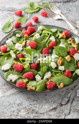 Salade d'épinards framboises avec feta et noix gros plan dans une assiette sur la table. Vertical Banque D'Images